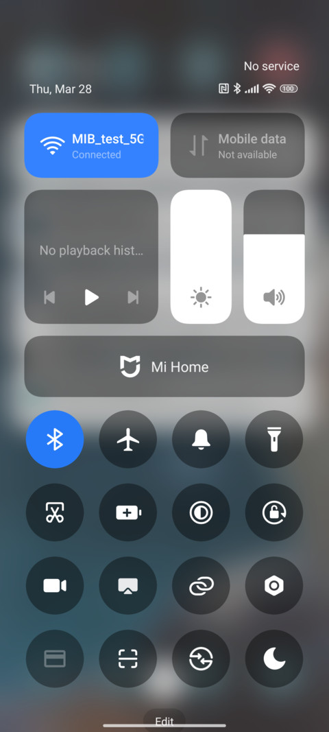 polar bear screenshot