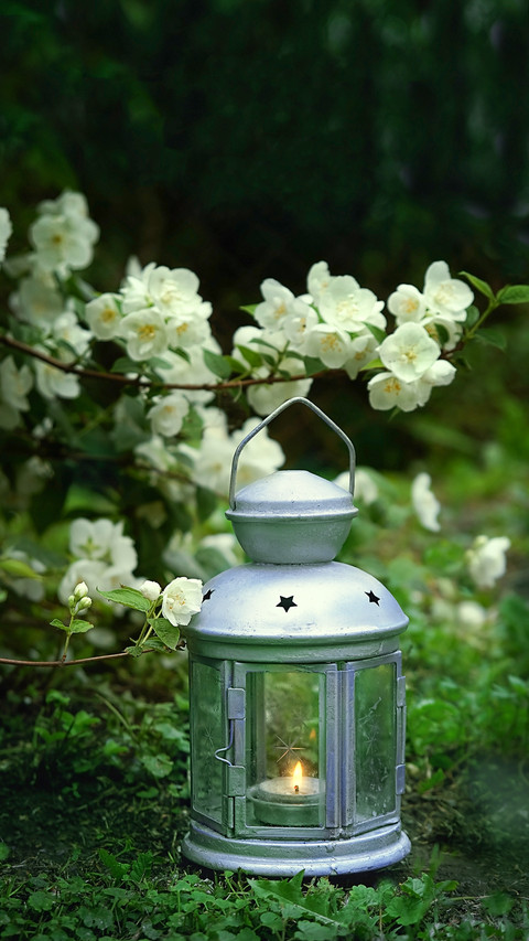 Magic Lantern with Candle and White Flowers screenshot
