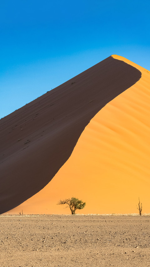 Pure desert screenshot