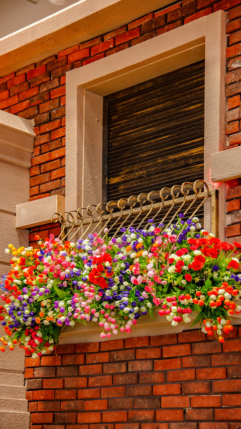 The flowers on the windowsill screenshot