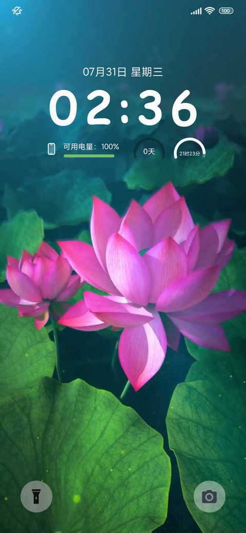 动态 荷花开放 screenshot