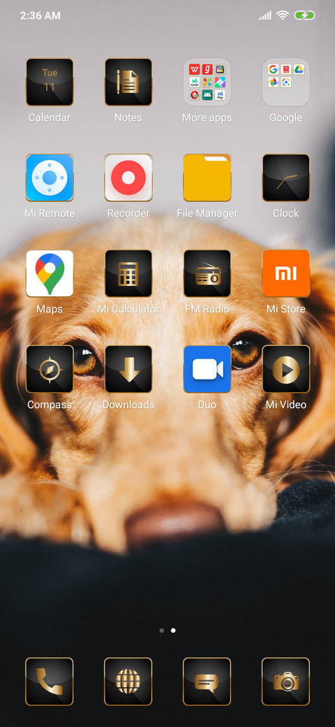 Dog_3MDS screenshot