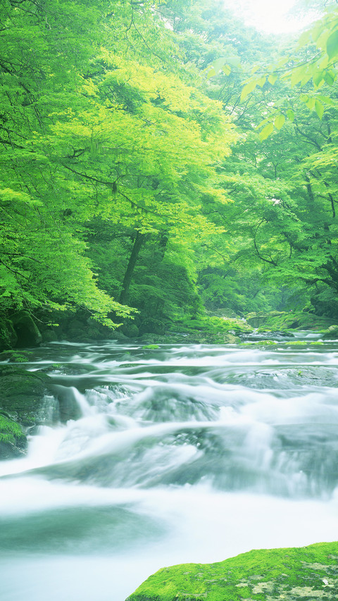 A waterfall in kumamoto prefecture japan screenshot