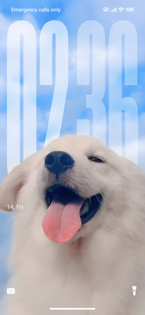 Angel Dog screenshot