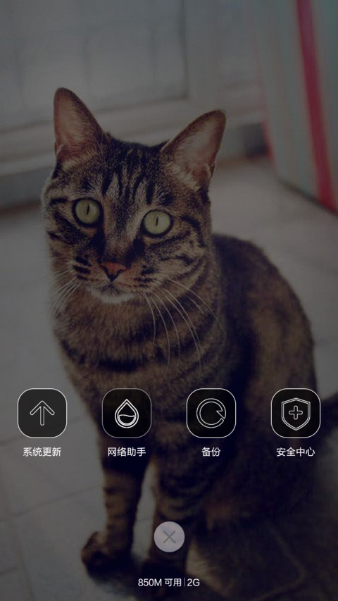 愿做你的铲屎官 screenshot