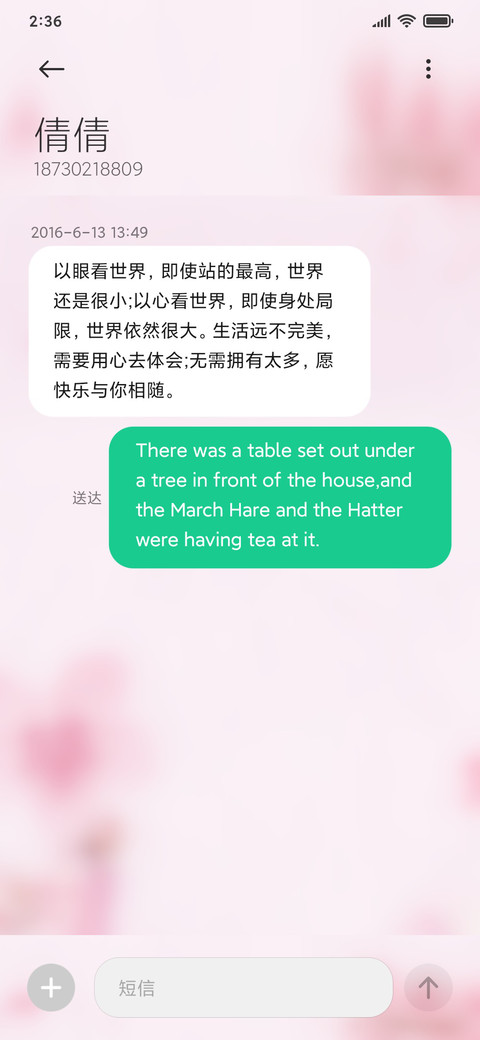 一枝梅 screenshot