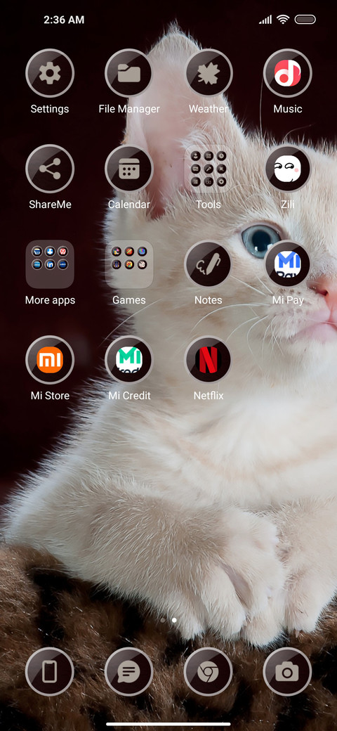 Cute Puppy screenshot