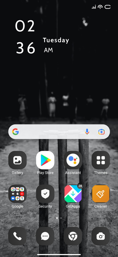Night Cricket screenshot