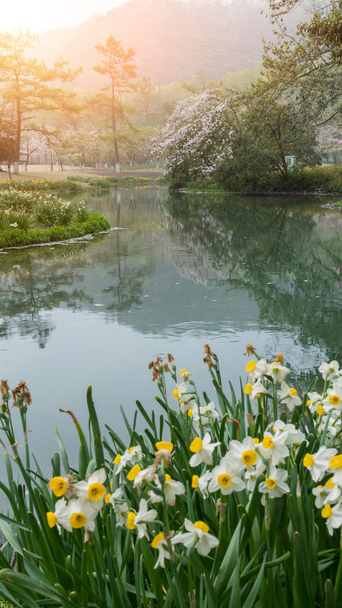 When the spring scenery in taiziwan is at its peak screenshot