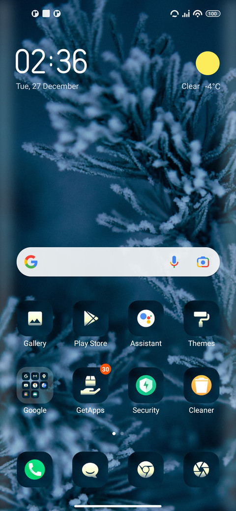 Elsa screenshot