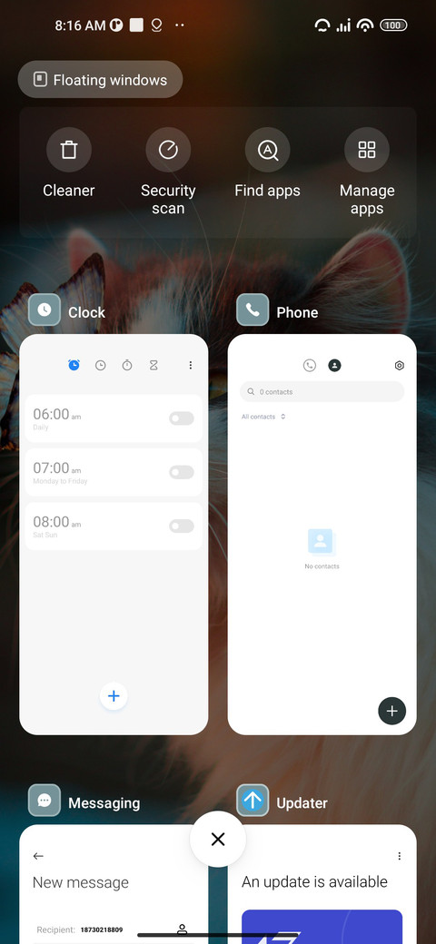 Cat screenshot