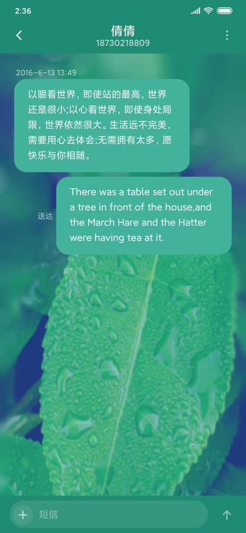 蓝绿护眼 screenshot