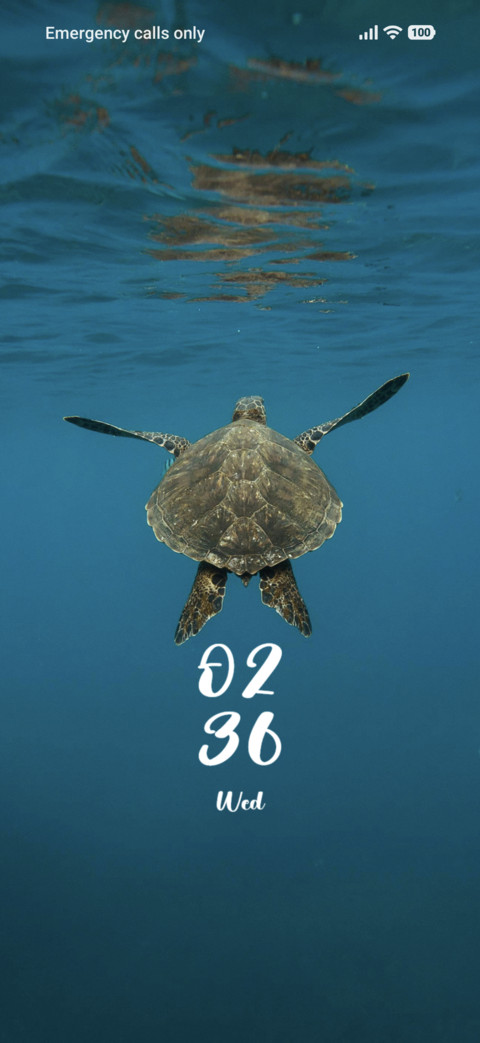 Turtle screenshot