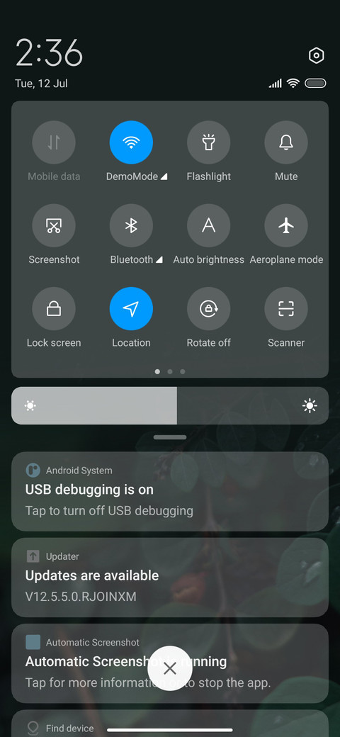 green edge screenshot