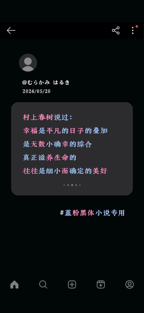 蓝粉黑体小说专用 screenshot