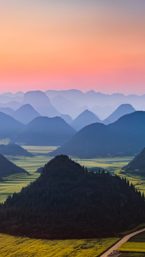 Landscape vegetation screenshot