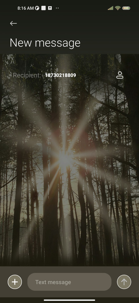 Natural forest screenshot
