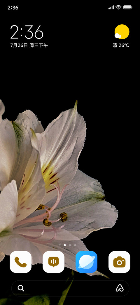 Petal Ray screenshot