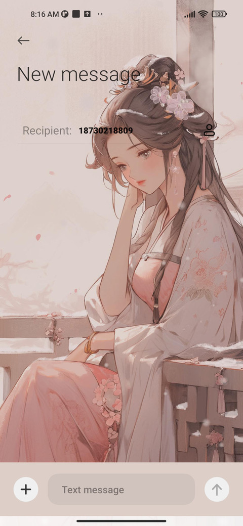 Xiaoxuan Window screenshot