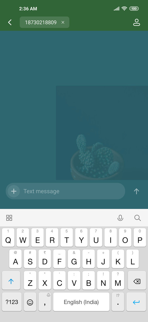 cactus screenshot