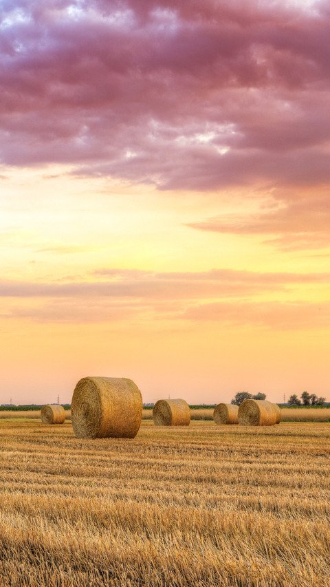 Sunset over farm field with hay bales in Hungary screenshot