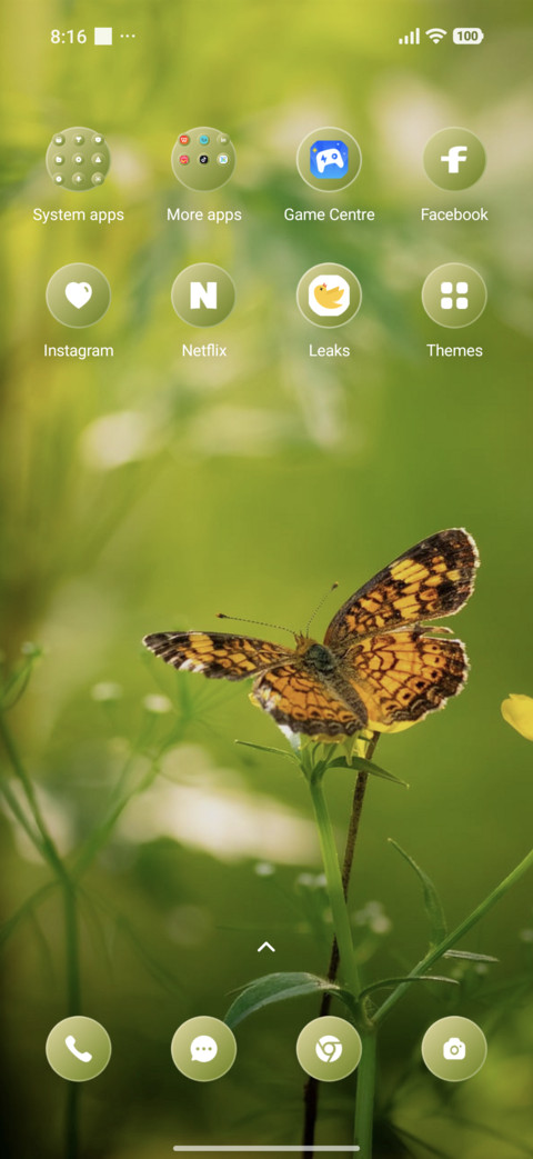 Green Fly screenshot
