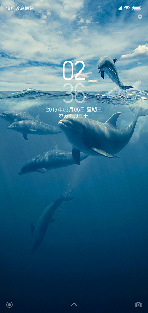 海豚 screenshot