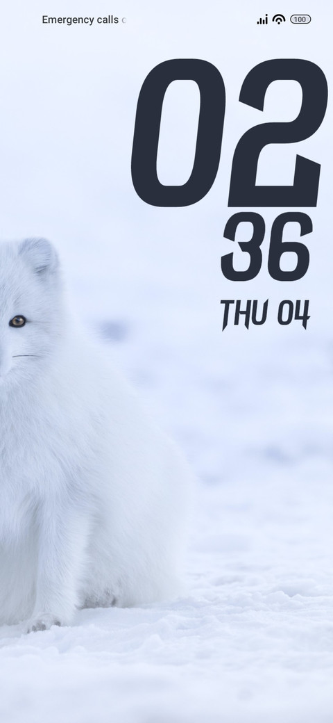Fox screenshot