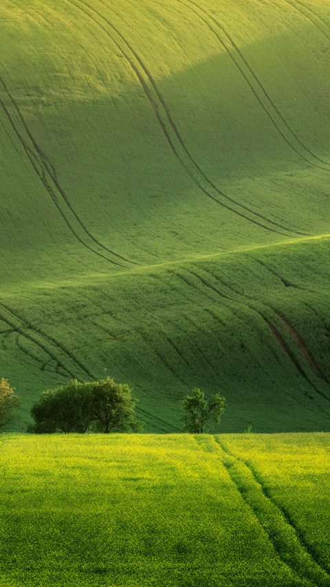 Green Hills of the Czech Moravia screenshot