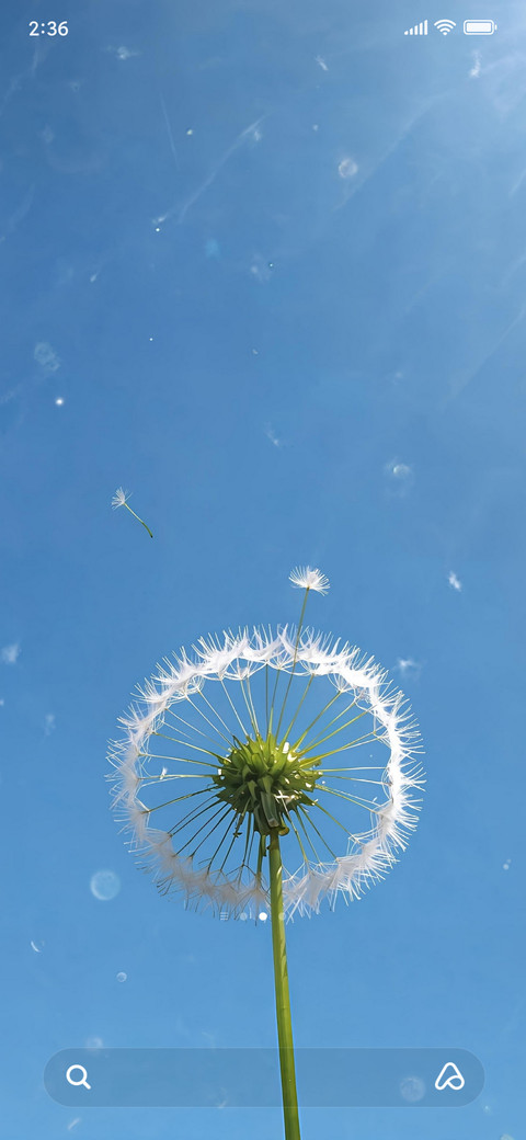 Jadol V2 screenshot