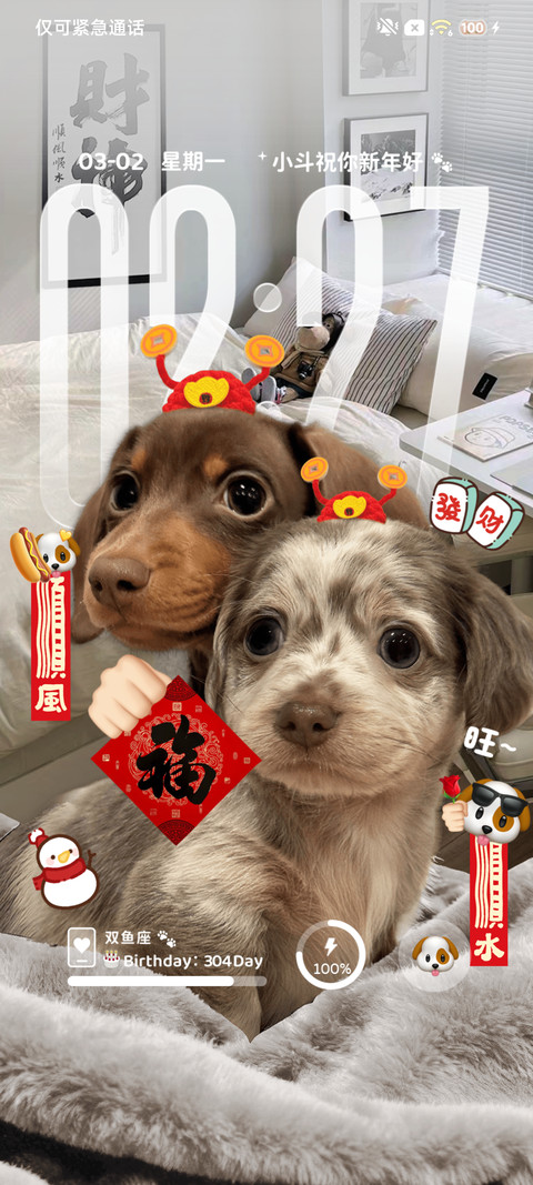 ins新年小狗送福 screenshot