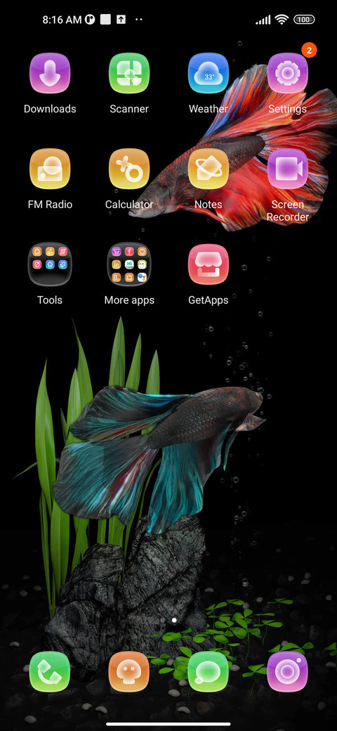 fighting fish screenshot