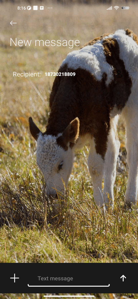 Niu Niu eats grass screenshot