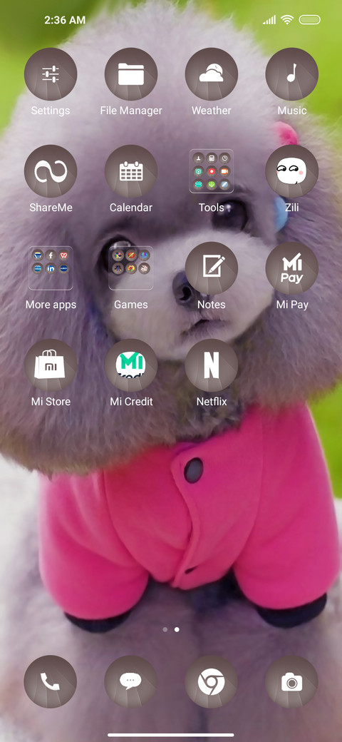 Puppy Qo screenshot