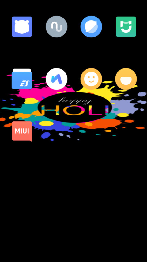 Festival-HOLI screenshot