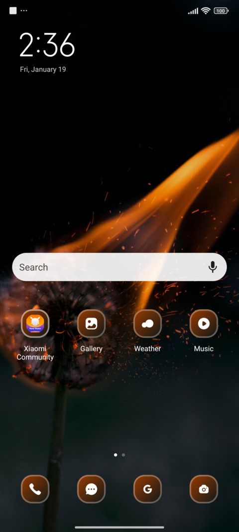 Burning dandelion screenshot