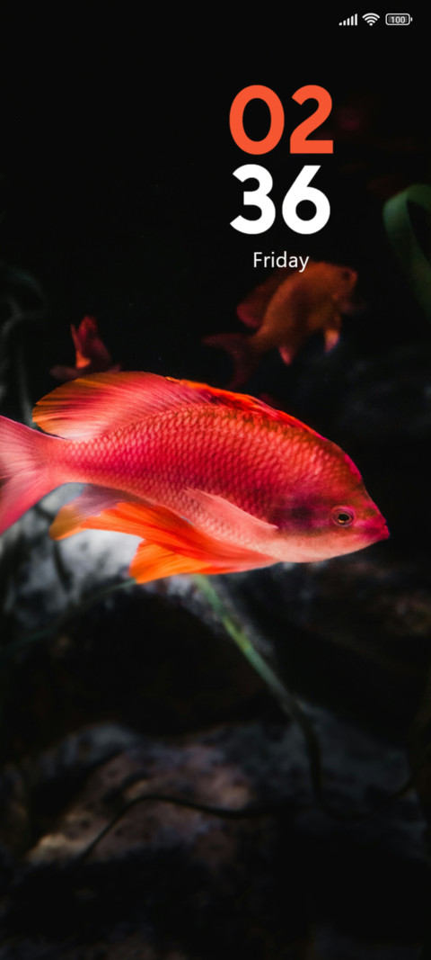 Aqua Harmony screenshot