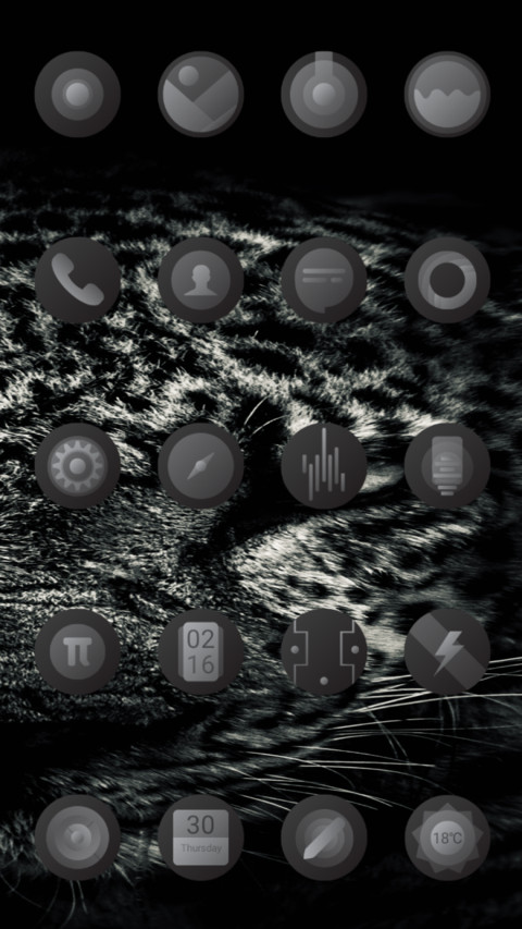 Leo_DWM19 screenshot