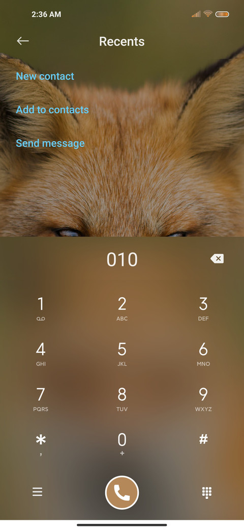 Handsome Fox screenshot