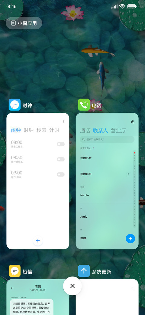锦鲤 screenshot