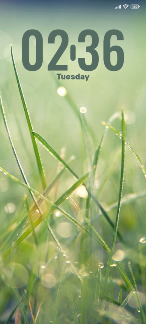 Misty Showers screenshot