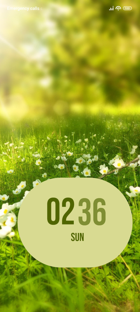 Sunlight screenshot