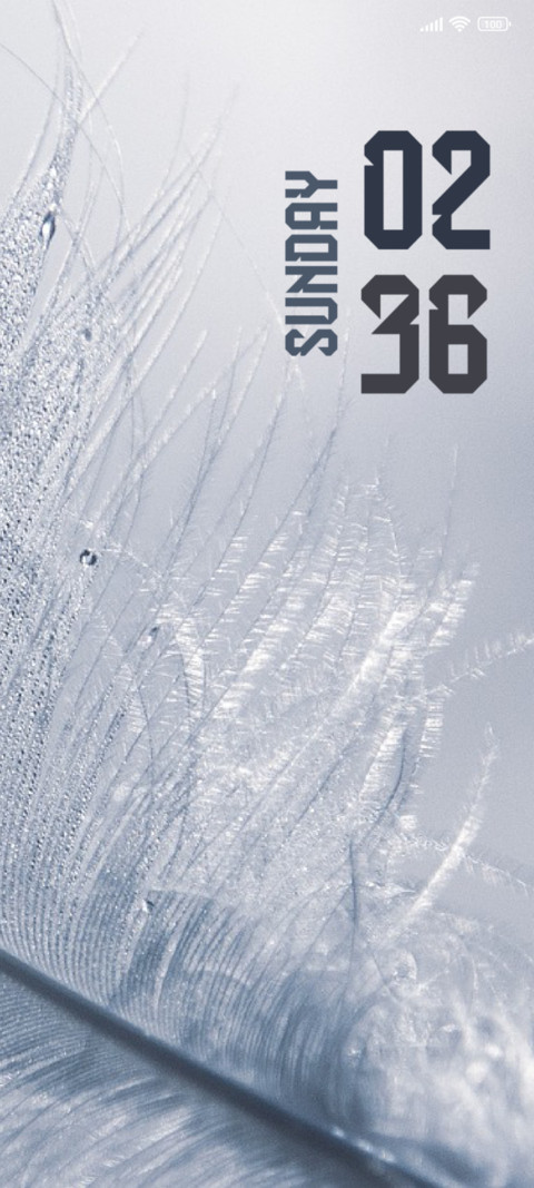 Feather screenshot