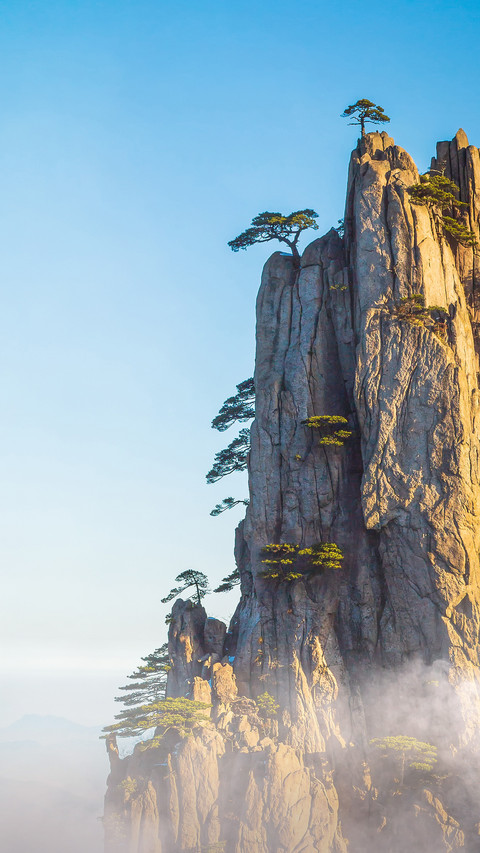 Huangshan pine 45 screenshot