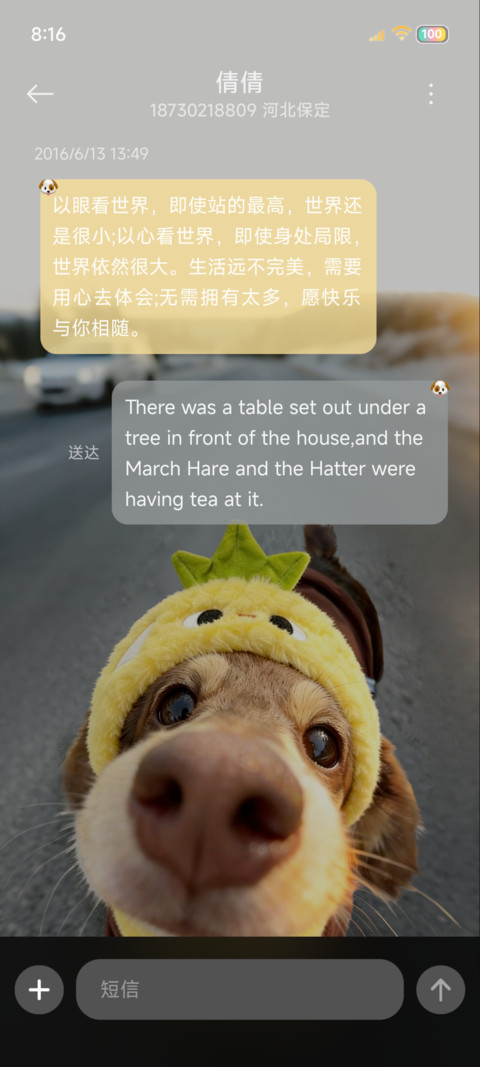 Hello 菠萝包小狗 screenshot