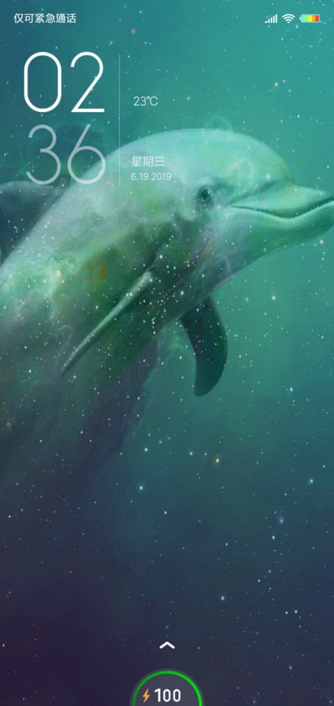 一个海豚 screenshot
