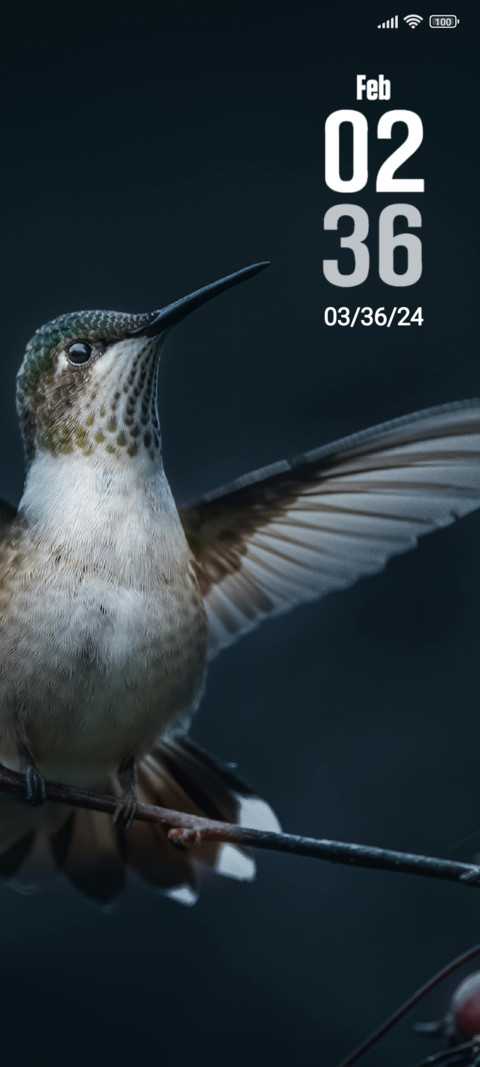 Bird screenshot