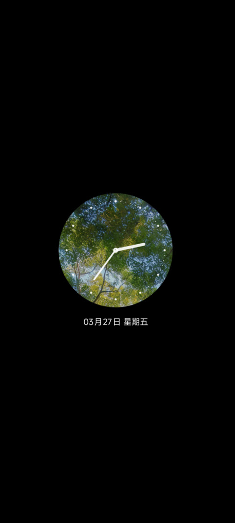 光栅 仰望四季 screenshot