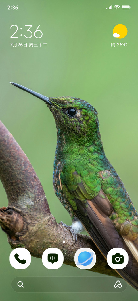Tiny Hummer screenshot
