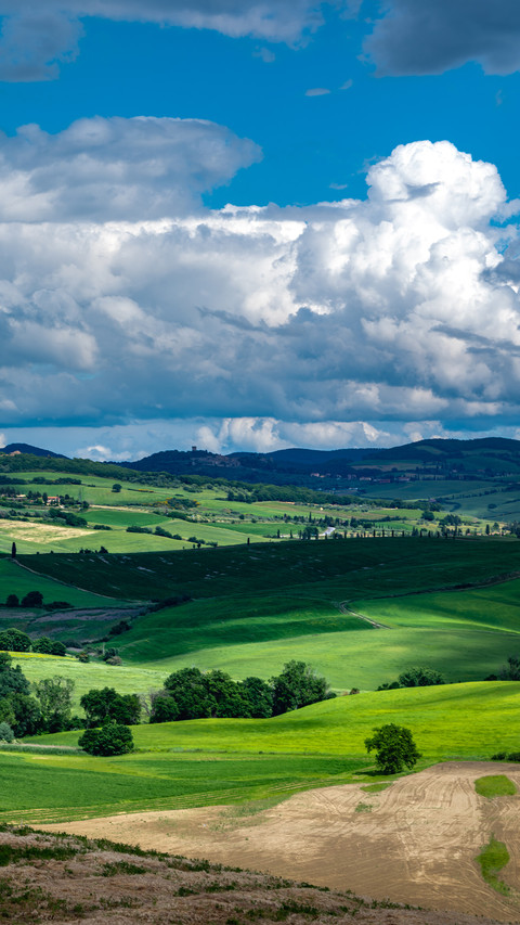 Wheat field and grassland screenshot